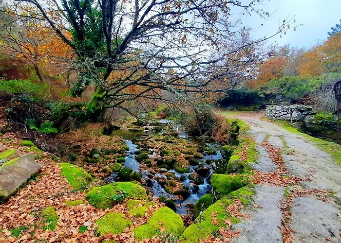 Charming House In With Terrace And Parking Included Lindoso